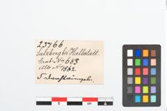 Etikett zu Bronzering (NHMW-PRAE-025766)